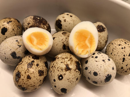 The Journey of Creating an Honesty Box for our Fresh Quail Eggs