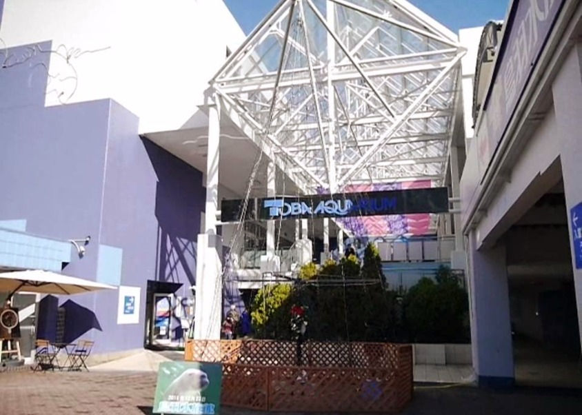 水族館 プロポーズ