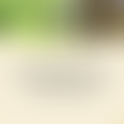 Imóvel alugado não deixa de ser bem de família automaticamente