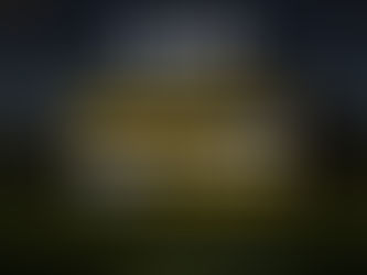 TJ-SP - Área de Preservação Permanente pode ser adquirida por usucapião.