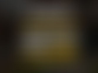 1ºVRP-SP - Indisponibilidade dos bens do herdeiro renunciante não impede o registro do inventário