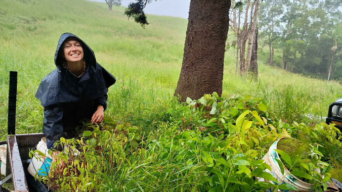 2,640 trees planted in Doon Doon on December 17 & 19, 2024.