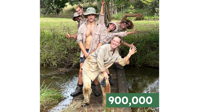 1,433 trees planted in Newrybar, NSW.