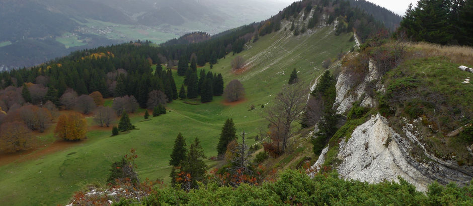 Douceurs de l'Automne...