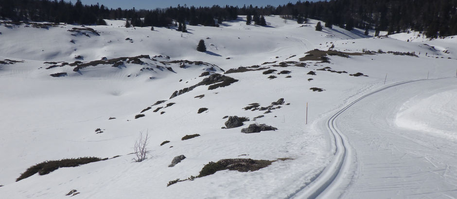 Soleil et glisse sur les pistes du Vercors Sud
