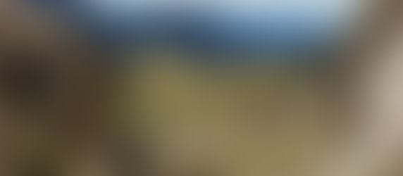 La réserve des Hauts Plateaux du Vercors : une pépite