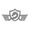dg-logo.webp