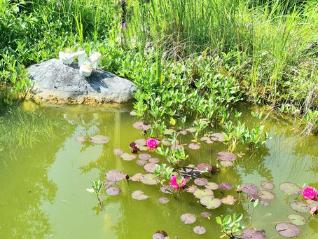 Transformation und Wachstum