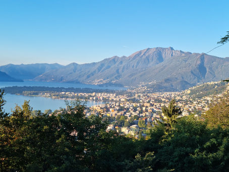 PANORAMA