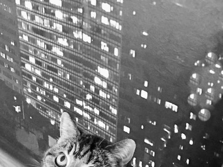 Abwarten und lernen aus-zu-halten