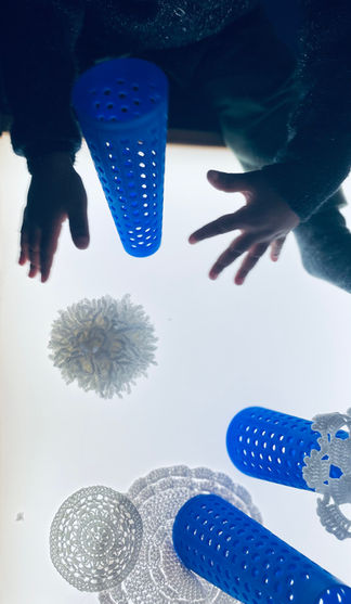 Installation art & nature "Laine & Co." - Margaux Delier - Hiver - Novembre 2024