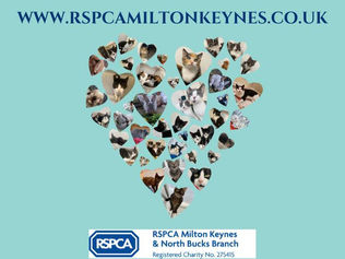 Monthly Donors Wanted!