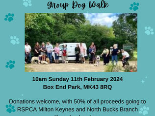 Charity Dog Walk