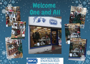 Christmas Wonder - Newport Pagnell Style!