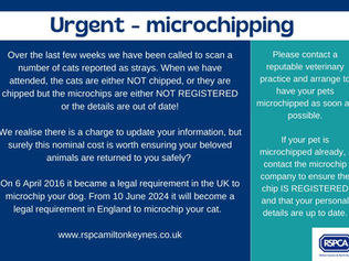 Microchipping for cats becomes Compulsory in 2024!