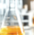 AdobeStock_386879647_edited_edited_edited.jpg