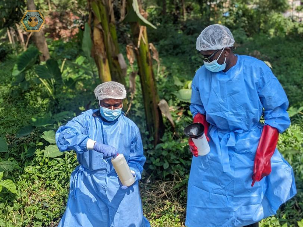 Wastewater sample collection in DRC for WaSPP project