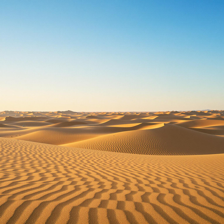 Desert Dreams