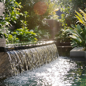Serene Courtyard Retreat
