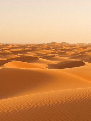 Desert Rhythms