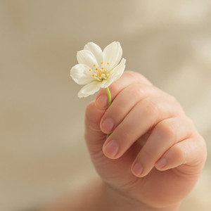 Little Wonders