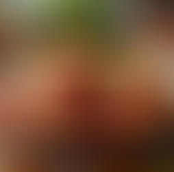 Savor Culinary Delights: Restaurant Reviews & Home-Cooked Meals