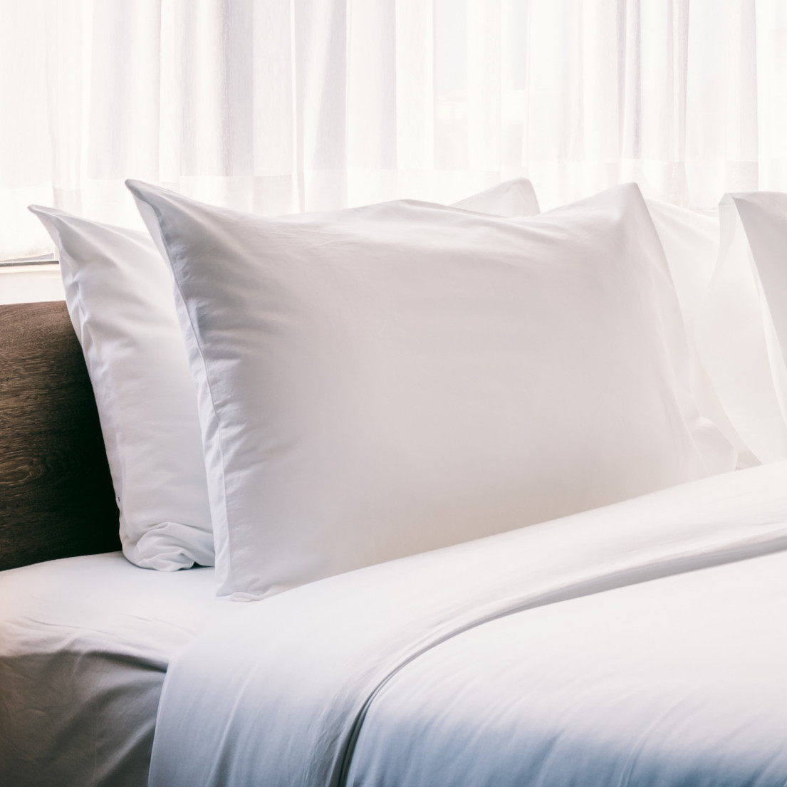 Foam Pillow