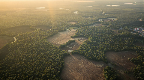 Deforestation in the Amazon