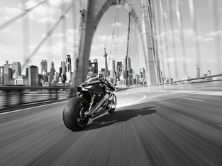 Chronicles in Motion