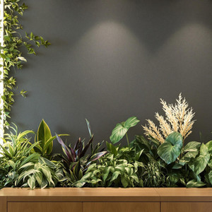 Wellness-Centric Design