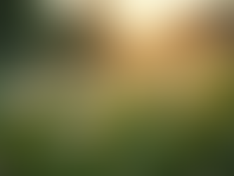 Data-Driven Insights for Policy Development Success