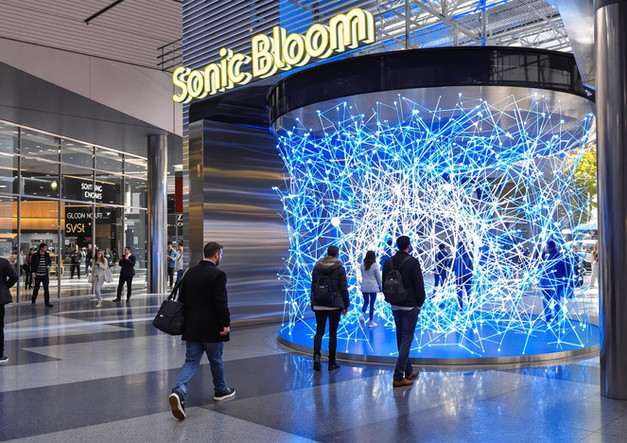 Sonic Bloom