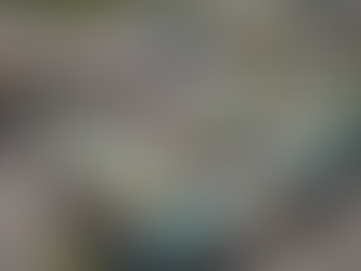 Empowering Healthcare Advocacy in Economic Equality Movement