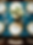 Our Services-Detailed Services-1.png