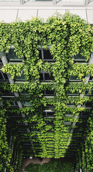 Urban Courtyard Haven