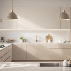 Modern Kitchen Perspectives