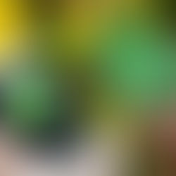 2018'in En İyi Mimarlık Uygulamaları