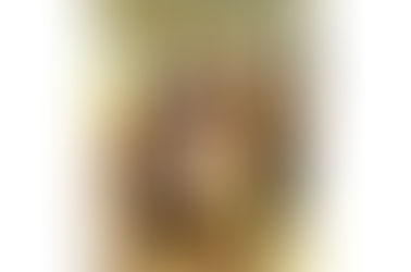 В Ставрополе определили 8 лучших социальных проектов