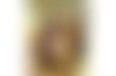 В Ставрополе определили 8 лучших социальных проектов