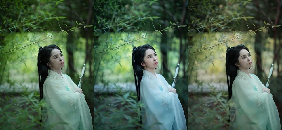 精修無敵, 自費加修更是絕