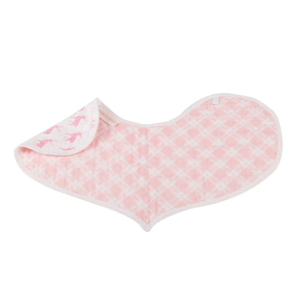 Thumbnail: Pop of Pink Cotton Heart Bibs 2PK