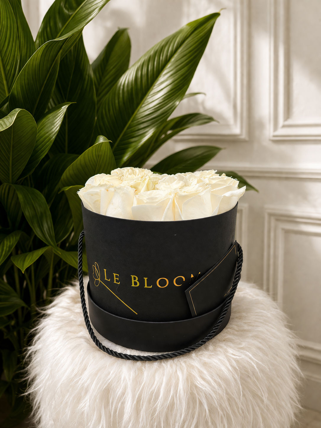 Box Passione - Preto P | Rosas Brancas