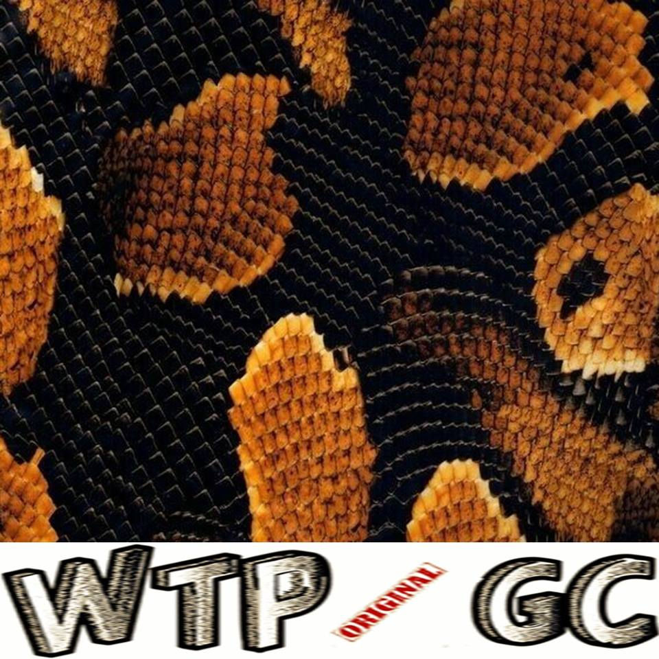 12744255_474343356100421_7504914183051320660_n