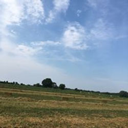 39004225_2218058584901873_11778360515451