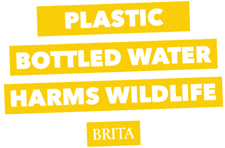 Brita_InstaStickers_SingleUse_V3.gif