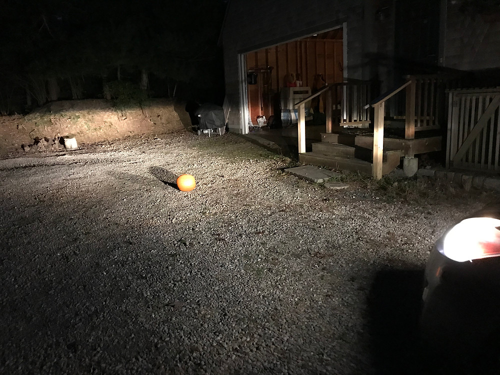Get my Goats - pumpkin mystery