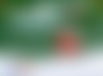 Ein Jahr voller Bewegung, Gemeinschaft und Erfolge