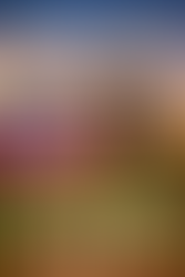 Gemeinsam in die neue Laufsaison 2026