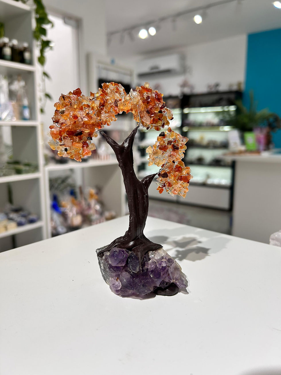 Miniatura: Árvores de pedra | a partir de