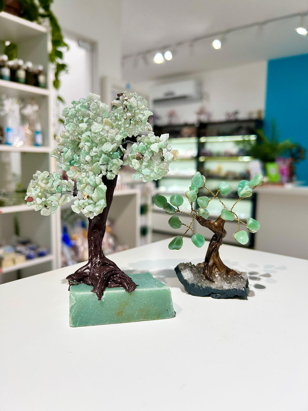 Miniatura: Árvores de pedra | a partir de